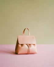 Load image into Gallery viewer, Mini Mini Lady Bag - Blush
